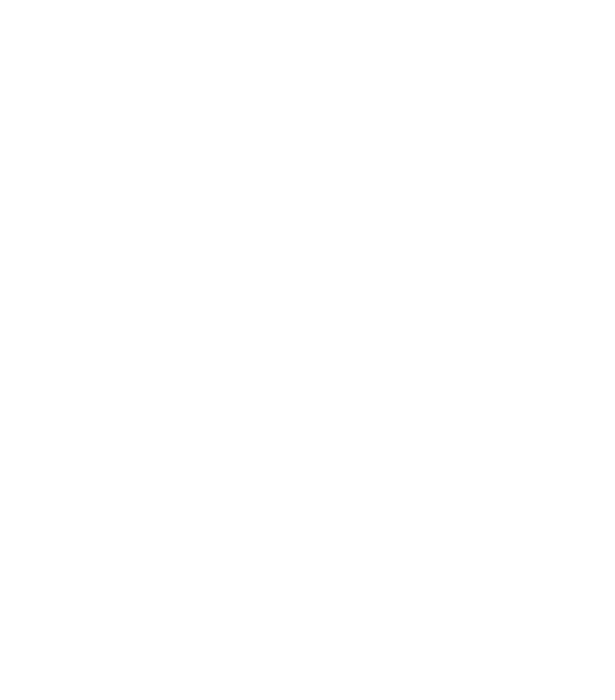 Logo Cerrado Mundo Mágico